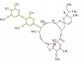 Thumbnail for version as of 19:00, 6 January 2012
