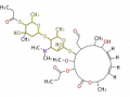 Thumbnail for version as of 16:06, 10 January 2012