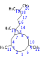 Thumbnail for version as of 18:04, 22 December 2011