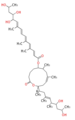Thumbnail for version as of 11:59, 10 January 2012