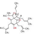 Thumbnail for version as of 17:01, 5 January 2012