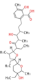 Thumbnail for version as of 17:14, 5 January 2012