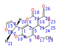 Thumbnail for version as of 13:52, 27 December 2011