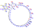 Thumbnail for version as of 17:09, 27 December 2011