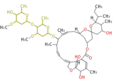 Thumbnail for version as of 18:50, 6 January 2012