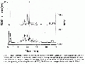 PGP2410CH0003.gif