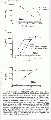 CLS1731FT0058.gif