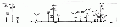 MMA0102SP0020.gif