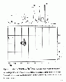 EEL0142SP0053.gif