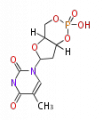Thumbnail for version as of 10:18, 23 December 2009