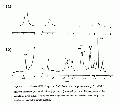 EEL0142SP0051.gif