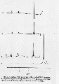 CLS1721SP0058.gif