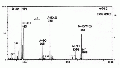 MMA0134SP0028.gif