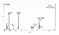 MMA0171SP0041.gif