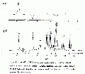 EEL0142SP0052.gif