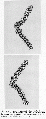 GSG1263SP0002.gif