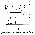 EEL0042SP0018.gif