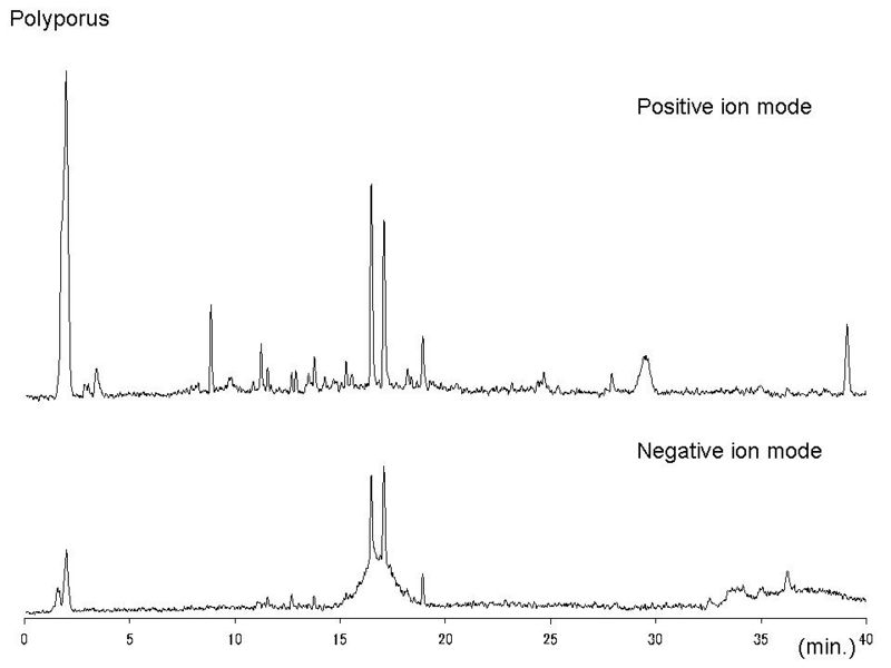 File:Polyporus LC-MS.jpg