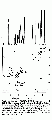 EEL0135SP0044.gif