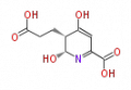 Thumbnail for version as of 18:04, 17 June 2010