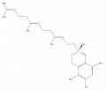 LBPR02020019.png