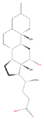LBST04010245.png