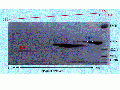 GSG0082CH0001.gif