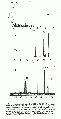 VVE0048SP0010.gif