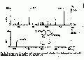 VVE0054SP0013.gif