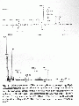 GSG1039SP0001.gif