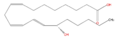 Thumbnail for version as of 14:50, 30 September 2008