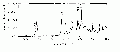 PGP4007SP0001.gif