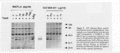 CLS1731CH0019.gif
