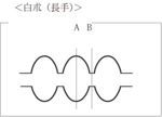 Tochimoto-Atractylodes-cmt412.jpg