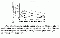 VVK0005FT0001.gif
