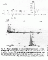 GSG1039SP0002.gif