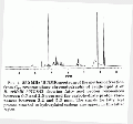 CLS1722SP0065.gif
