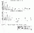 WWA2401SP0042.gif