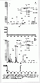 CLS1711SP0049.gif