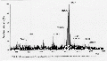 CLS1522SP0043.gif