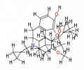 Thumbnail for version as of 20:46, 21 February 2011