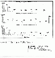 WWA2101SP0025.gif