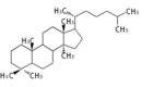 SP4L.png