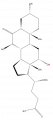 LBST04010262.png